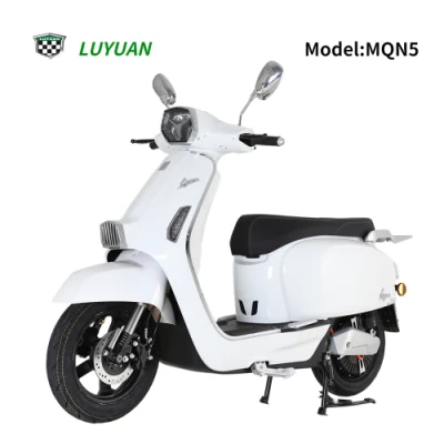 Mqn5 高速 EEC 電動バイク大型単バッテリー